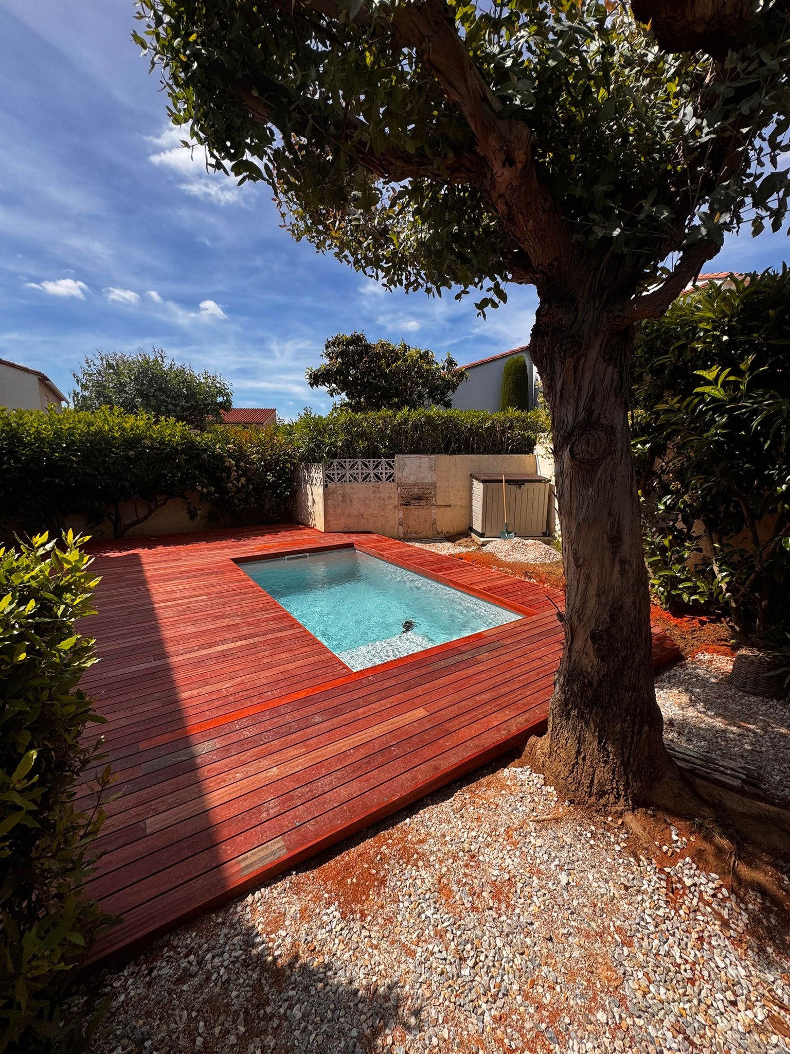 Terrasse en bois rouge autour d’une piscine, sous un grand arbre